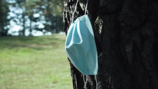 Gebruikt medisch masker op de stam van een oude dennenboom in een bos open plek — Stockvideo