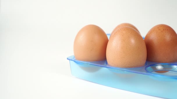 Chicken Eggs Blue Plastic Egg Container Hand Takes One Brown — Stock Video