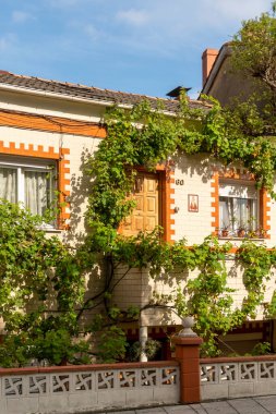 Oviedo, İspanya, Asturias - Ağustos 2020: Sarmaşıkla kaplanmış güzel bir kulübe