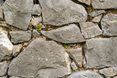 Taş duvar dokusu soyut yakın çekim. Doğal arkaplan