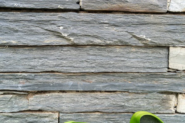 Textura Pared Bloque Pizarra Negra Fondo Cerrado Con Follaje Verde — Foto de Stock