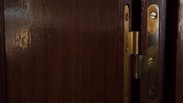 Old Bronze Hinge Dark Wooden Door Slow Opening Close — Stock Video