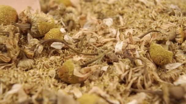 Kurutulmuş Papatya Çayı Ekolojik Malzemeden Yapılmış Bir Tahta Kaşık Bir — Stok video