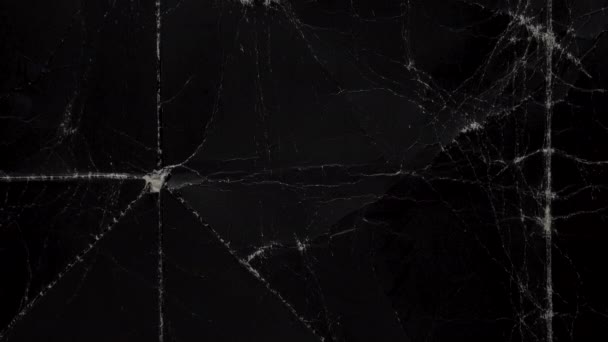 Згорнутий Чорний Старий Зморщений Папір Складками Абстрактний Фон Пилом Рух — стокове відео