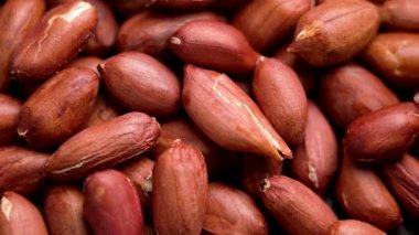 Kahverengi derili kabuklu fıstık. Üst Manzara. Makro. Döndürme