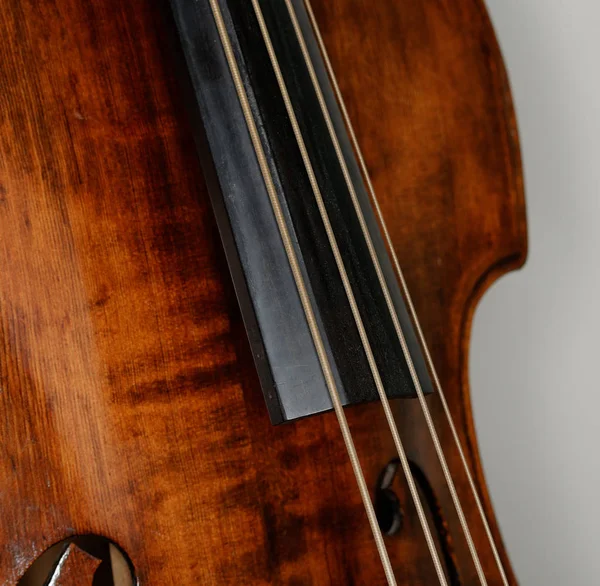 Double Bass Fingerboard Strings — Stock Photo, Image