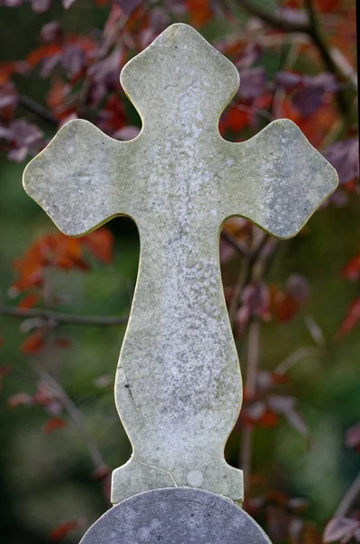 가을에 묘지에 십자가 배경에 단풍과 — 스톡 사진