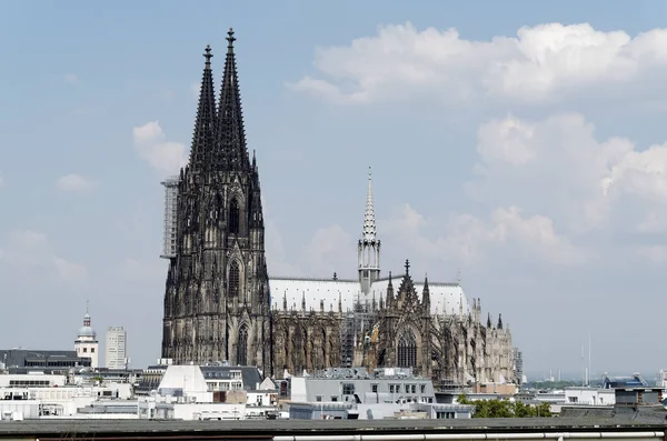 köln katedrali ile köln şehir manzarası