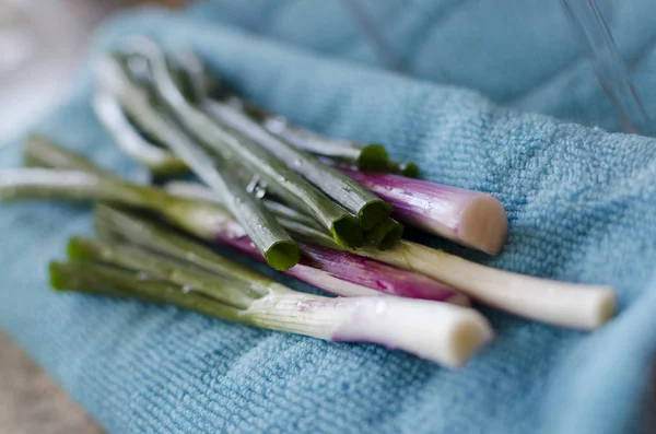 Eine Gemüsesuppe Zubereiten — Stockfoto