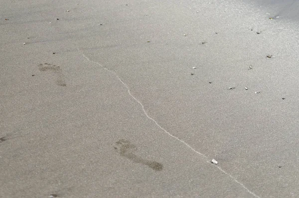 沙滩上的脚印 — 图库照片