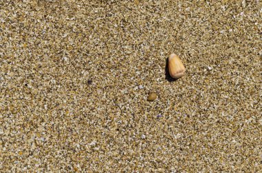 Salyangoz plaj arka plan ile