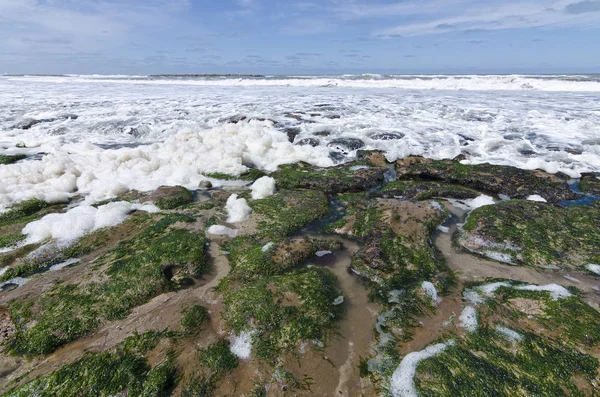 Paisaje Marítimo Rocas Base Del Acantilado —  Fotos de Stock