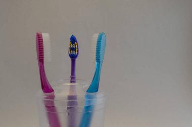 kase, Aile, Çift diş fırçaları