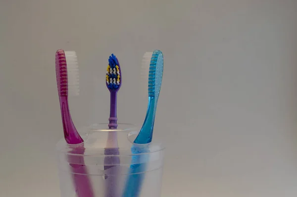 Toothbrushes Bowl Family Couple — Stock Photo, Image