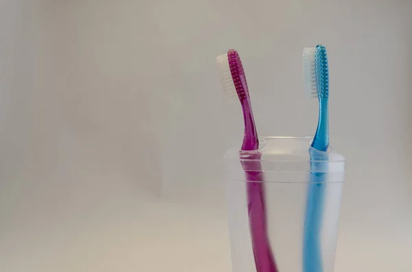 Toothbrushes Bowl Family Couple — Stock Photo, Image