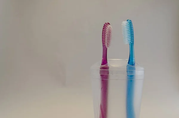 Toothbrushes Bowl Family Couple — Stock Photo, Image