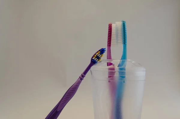 Toothbrushes Bowl Family Couple — Stock Photo, Image