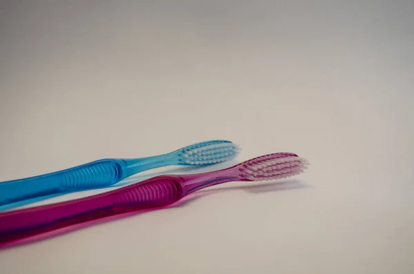 Toothbrushes Bowl Family Couple — Stock Photo, Image