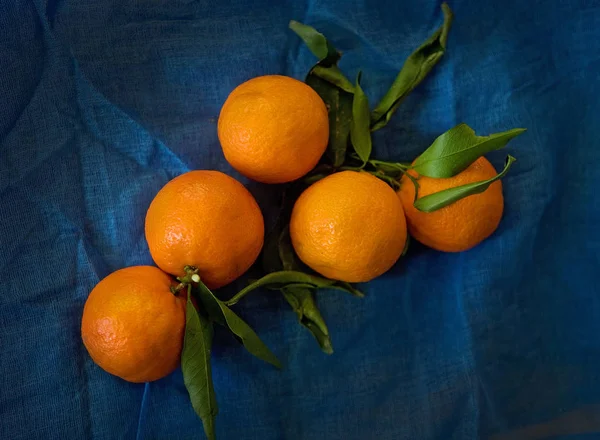 Mandarinas naranjas sobre azul oscuro — Foto de Stock