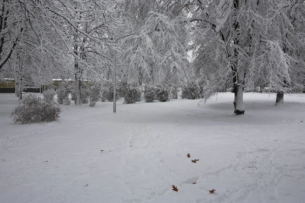 Parque de neve inverno — Fotografia de Stock