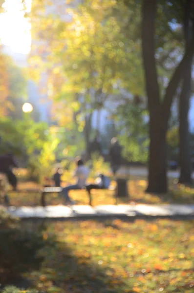 Autumn park, blurred view