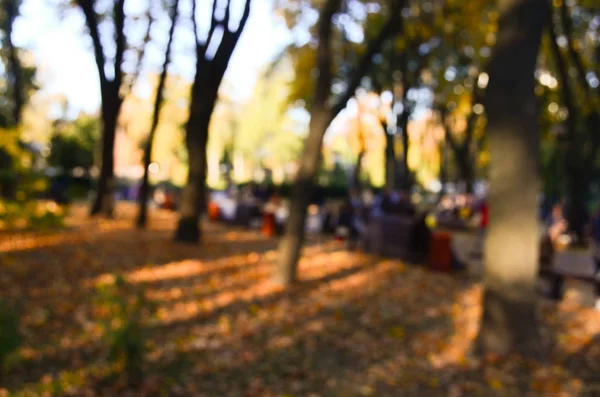 Parco Autunnale Vista Sfocata — Foto Stock