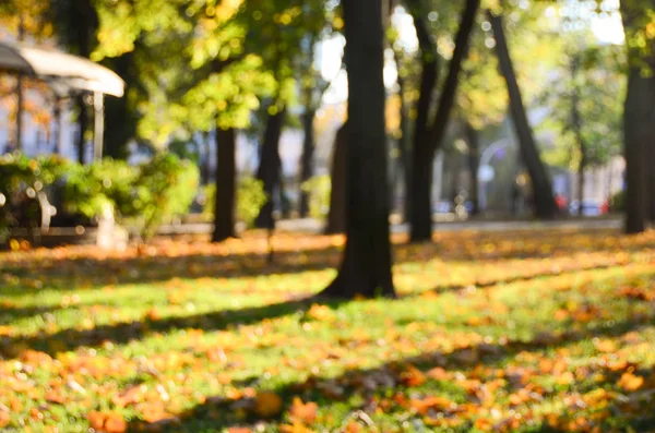 Podzimní Park Rozmazané Pohled — Stock fotografie