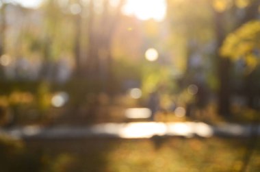 Sonbahar park, bulanık görünüm 