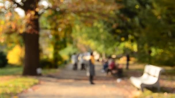 Suddig Bakgrund Personer Aktiviteter Parken Med Bokeh — Stockvideo