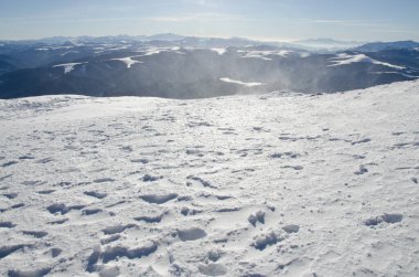 Karlı dağlar ve ağaçların kış manzarası 