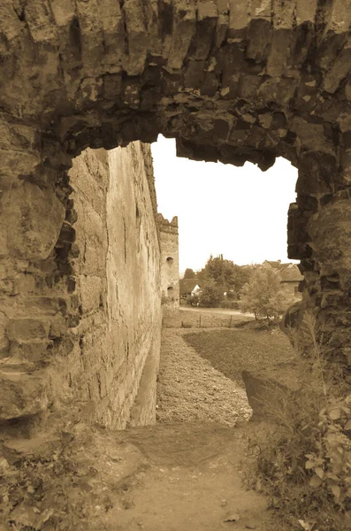 Vue Des Ruines Vieux Bâtiments Avec Des Buissons — Photo