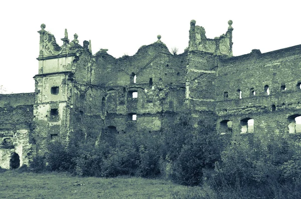 Uitzicht Oude Gebouw Ruïnes Met Struiken — Stockfoto