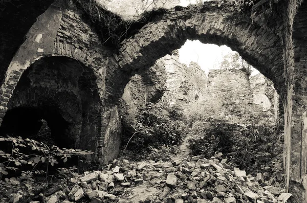 Vue Des Ruines Vieux Bâtiments Avec Des Buissons — Photo