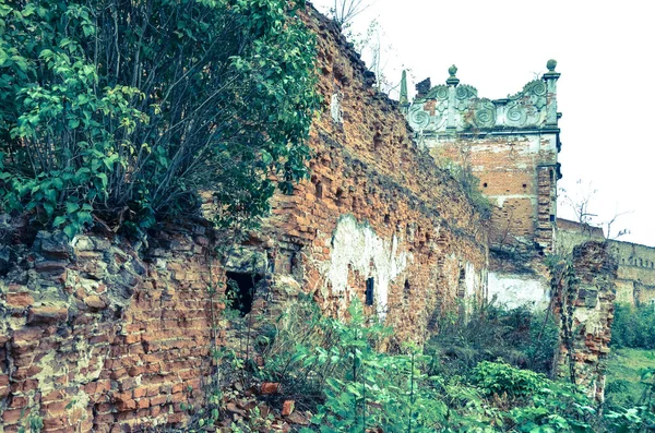 Vue Des Ruines Vieux Bâtiments Avec Des Buissons — Photo