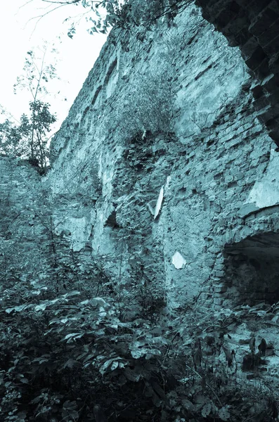 Widok Ruin Starego Budynku Krzewami — Zdjęcie stockowe