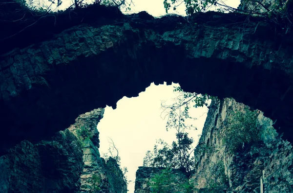 View Old Building Ruins Bushes — Stock Photo, Image