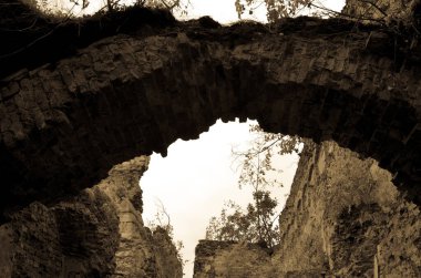 Çalılarla eski harabelerin manzarası