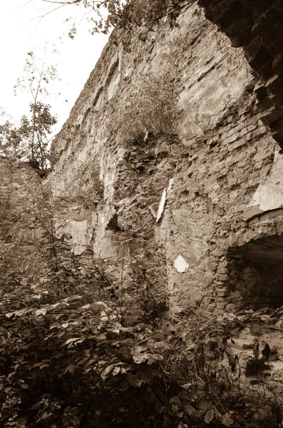 Pohled Staré Zříceniny Budov Keři — Stock fotografie