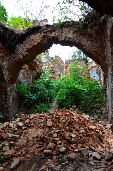 Vista Vecchie Rovine Edifici Con Cespugli — Foto Stock