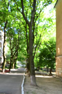 Bulanık şehir manzarası, soyut arkaplan 