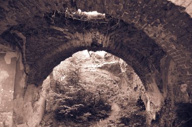 Çalılarla eski harabelerin manzarası