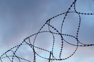 Dikenli tel, grunge dijital duvar kağıdı