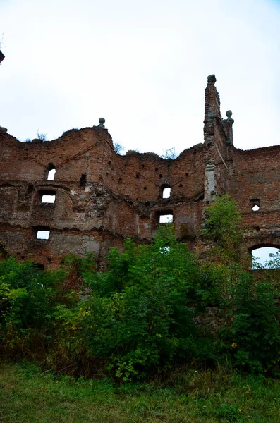 Vue Des Ruines Vieux Bâtiments Avec Des Buissons — Photo