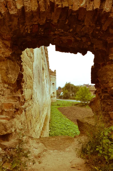 Vista Vecchie Rovine Edifici Con Cespugli — Foto Stock