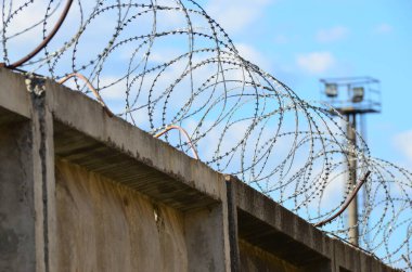 Dikenli tel, grunge dijital duvar kağıdı