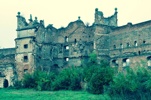 茂みのある古い建物の廃墟の眺め — ストック写真