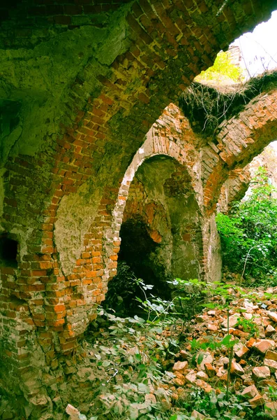 Vue Des Ruines Vieux Bâtiments Avec Des Buissons — Photo