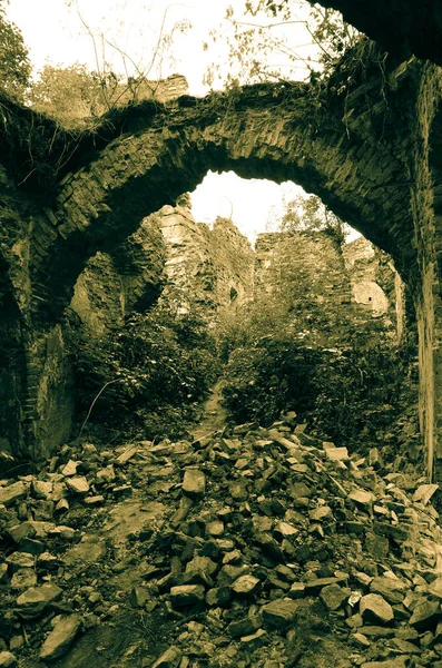 Widok Ruin Starego Budynku Krzewami — Zdjęcie stockowe