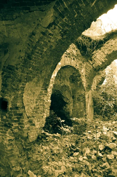 Άποψη Των Παλαιών Ερείπια Κτίριο Θάμνους — Φωτογραφία Αρχείου