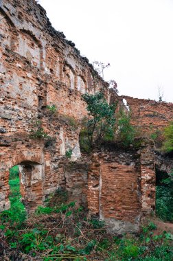 Çalılarla eski harabelerin manzarası